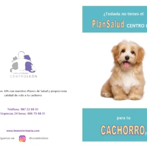 PlanSalud Cachorro